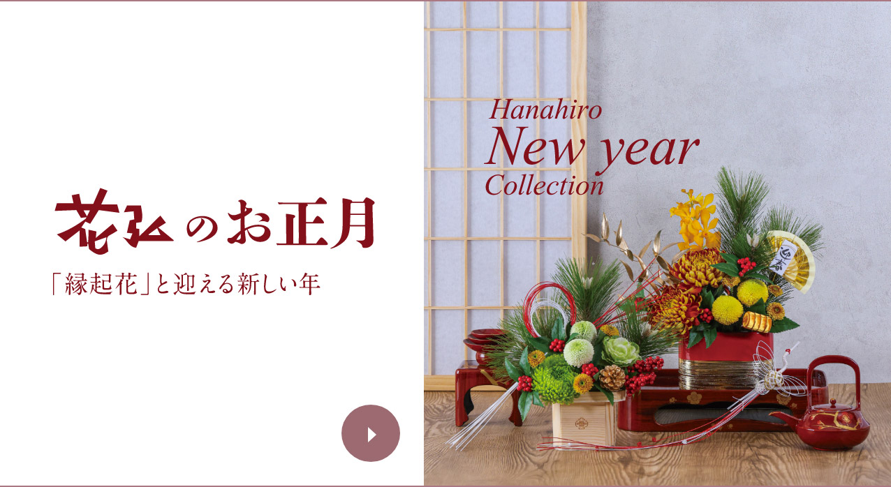 Hanahiro's Special Christmas