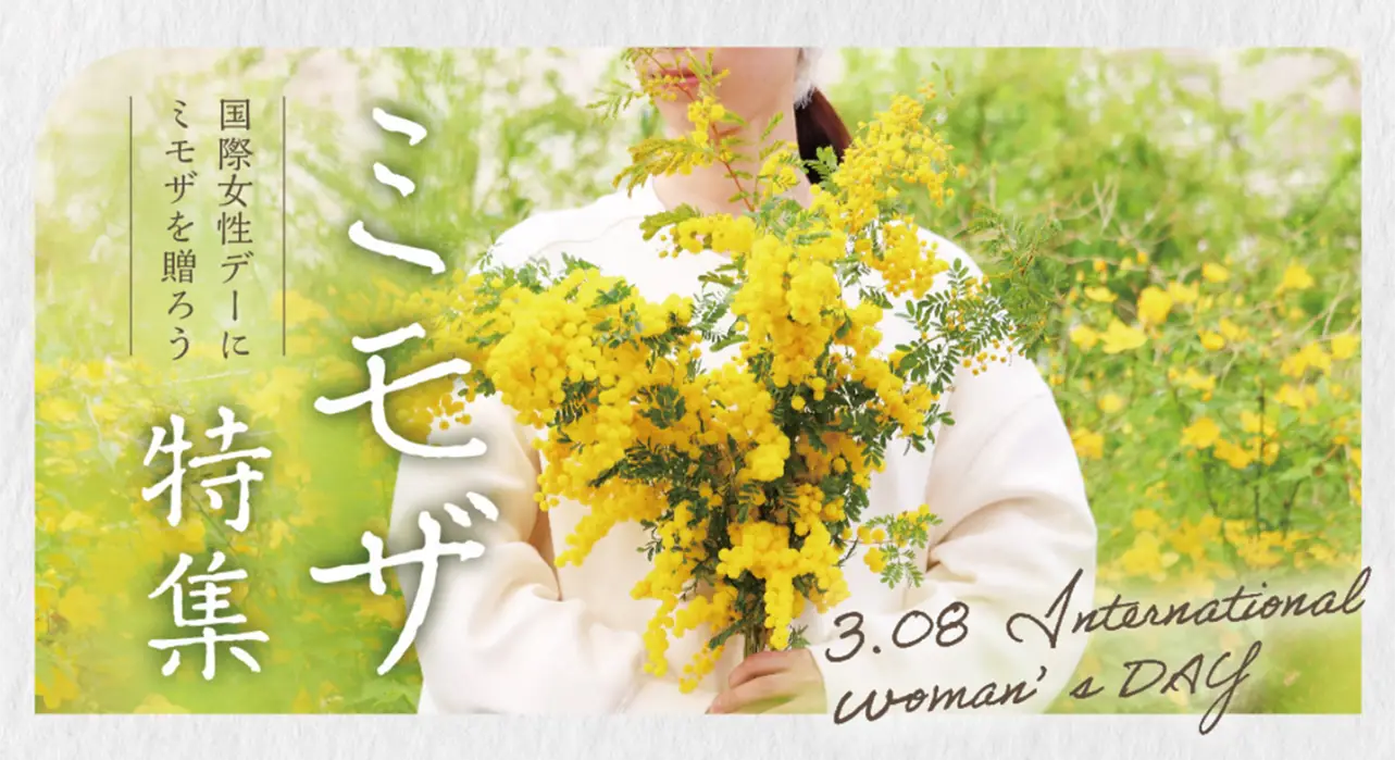 ミモザ特集～3月8日・国際女性DAY～